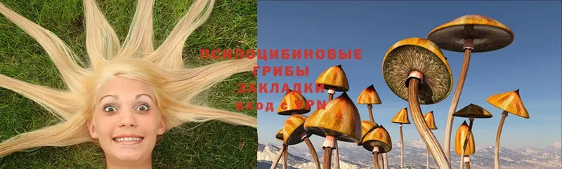 Псилоцибиновые грибы MAGIC MUSHROOMS  блэк спрут ссылки  Спасск-Рязанский  сколько стоит 